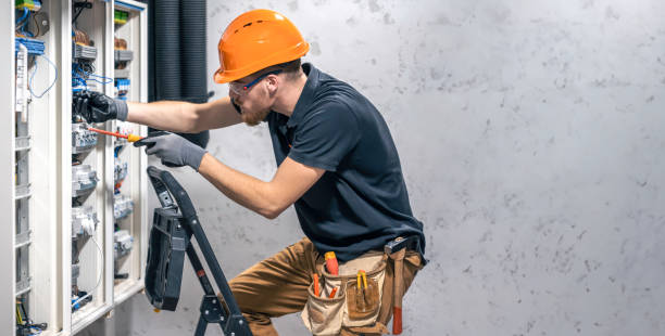 Best Electrical System Inspection  in Colona, IL